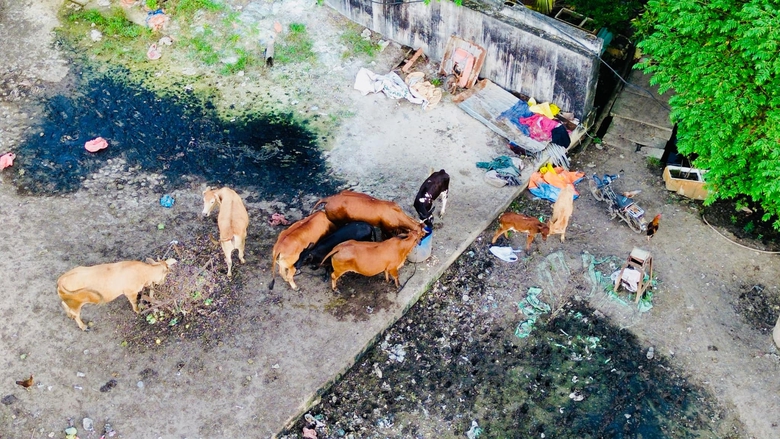 Dự &aacute;n V&agrave;nh đai 2 TP.HCM: Cần th&ecirc;m hai khu đất t&aacute;i định cư cho người d&acirc;n- Ảnh 3.