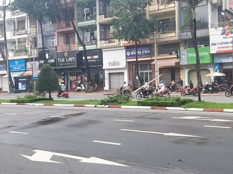 Bắt tạm giam 4 đối tượng chặt c&acirc;y kiểng tr&ecirc;n dải ph&acirc;n c&aacute;ch đường H&ugrave;ng Vương, TP Long An- Ảnh 2.