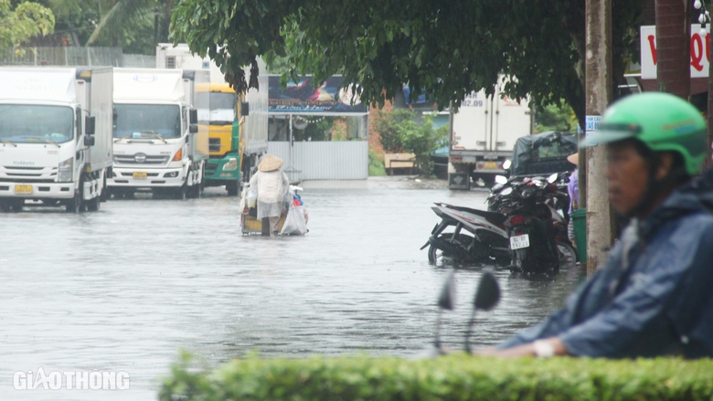 Mưa lớn k&eacute;o d&agrave;i, nhiều tuyến đường th&agrave;nh phố Bạc Li&ecirc;u ngập s&acirc;u- Ảnh 8.