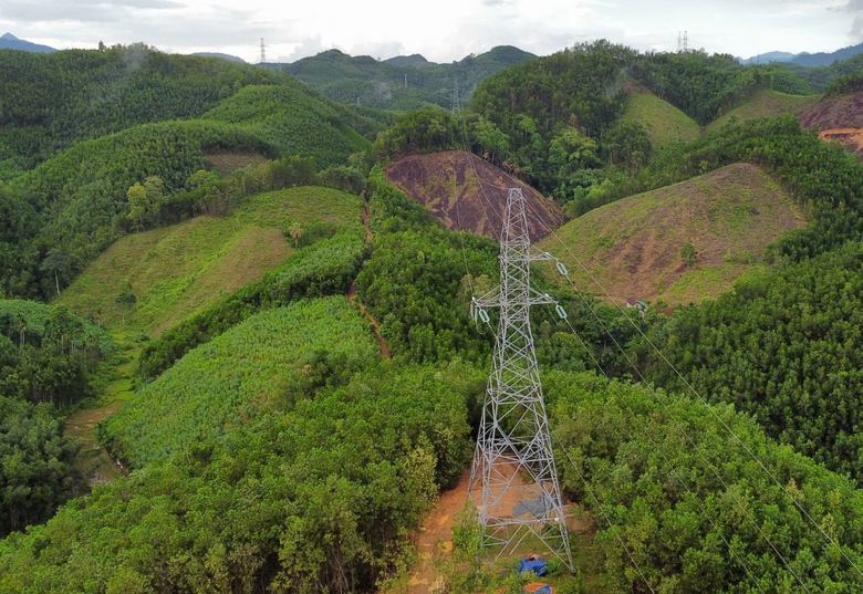 Vụ 64 trụ điện cao thế: Ch&ocirc;n tr&aacute;i ph&eacute;p tr&ecirc;n đất kh&ocirc;ng c&oacute; trong quy hoạch- Ảnh 1.