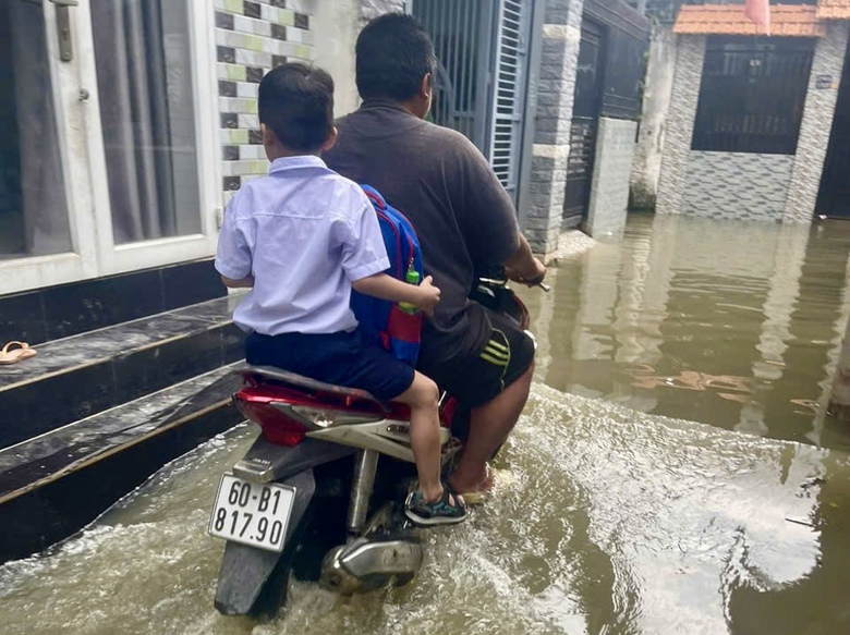 Mực nước s&ocirc;ng Đồng Nai l&ecirc;n mức b&aacute;o động, cảnh b&aacute;o ngập lụt nhiều khu vực- Ảnh 1.