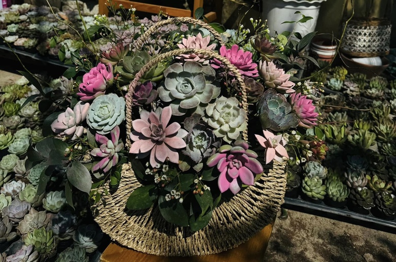 Sen đ&aacute; l&ecirc;n ng&ocirc;i thị trường hoa, qu&agrave; tặng dịp 20/10- Ảnh 11.