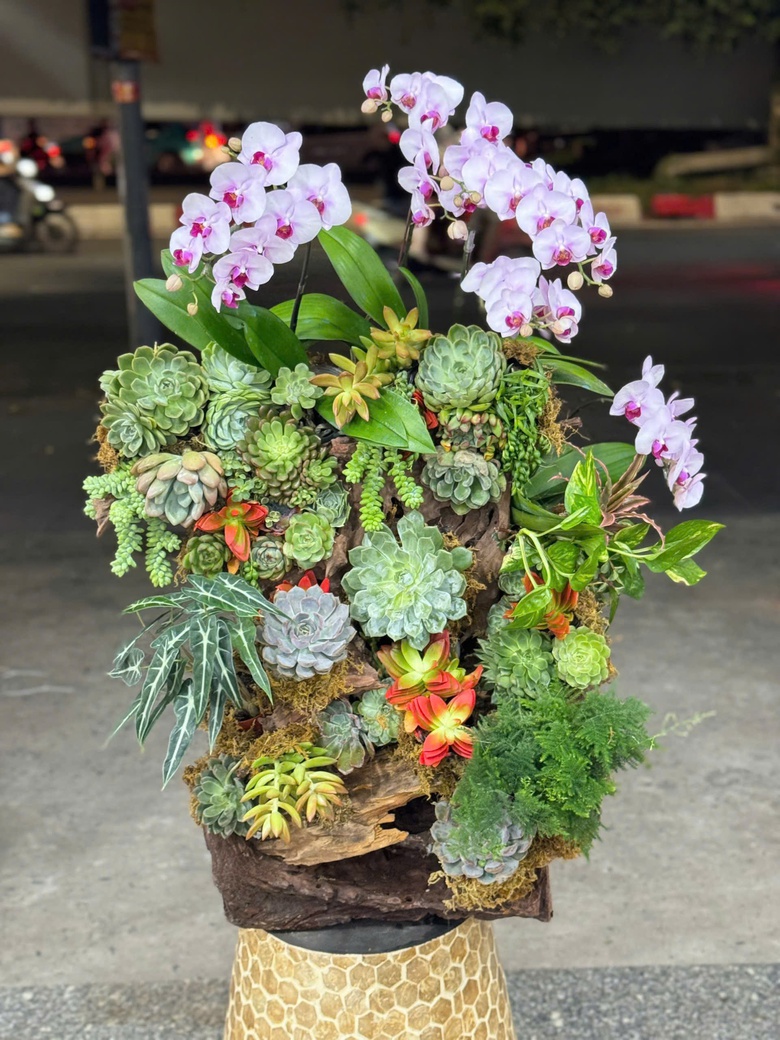 Sen đ&aacute; l&ecirc;n ng&ocirc;i thị trường hoa, qu&agrave; tặng dịp 20/10- Ảnh 3.