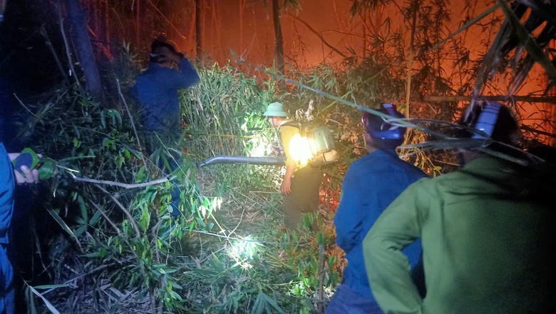 Lửa ch&aacute;y ng&ugrave;n ngụt thi&ecirc;u rụi 10ha rừng trồng ở V&acirc;n Đồn- Ảnh 2.