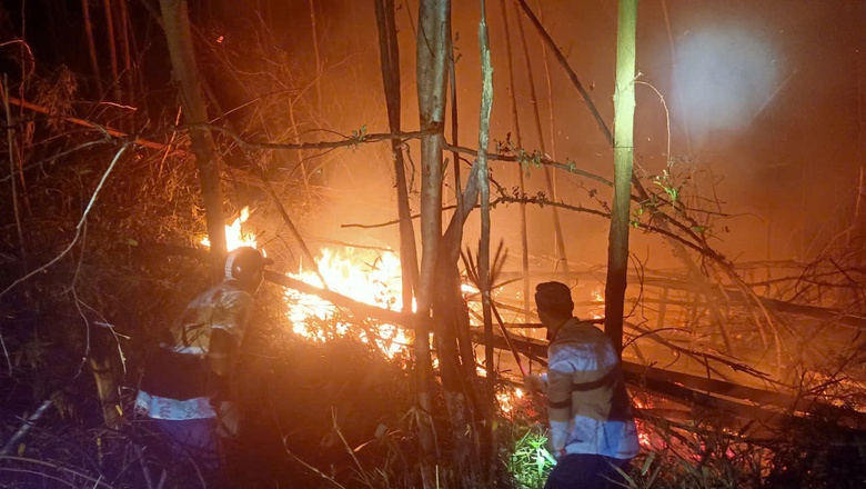 Lửa ch&aacute;y ng&ugrave;n ngụt thi&ecirc;u rụi 10ha rừng trồng ở V&acirc;n Đồn- Ảnh 1.