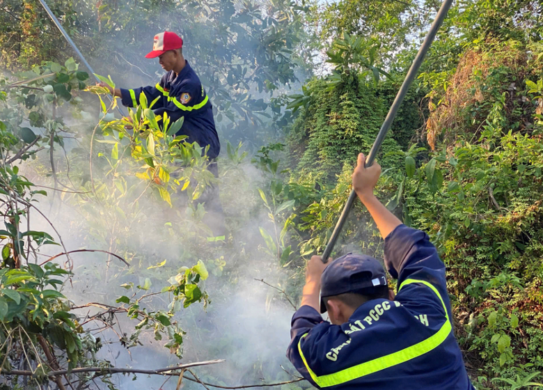 Hải Phòng đã khống chế được vụ cháy thảm thực bì tại núi Sơn Đào- Ảnh 1. Hải Phòng đã khống chế được vụ cháy thảm thực bì tại núi Sơn Đào- Ảnh 1.