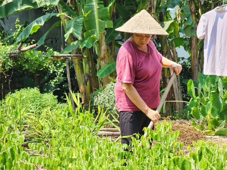 Gia đ&igrave;nh vừa đo&agrave;n tụ, con trai đột ngột mất v&igrave; TNGT để lại cha mẹ gi&agrave; yếu- Ảnh 1.