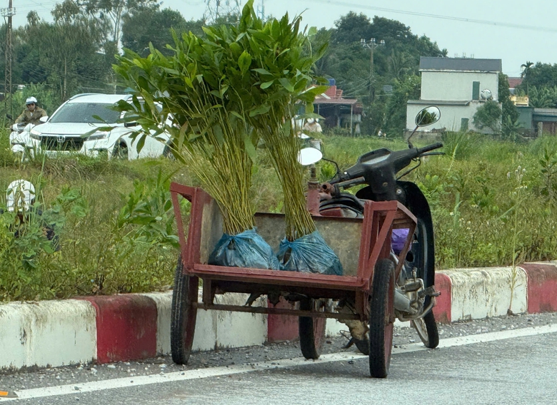 Thanh H&oacute;a xử l&yacute; h&agrave;ng loạt xe tự chế, xe l&ocirc;i k&eacute;o tr&ecirc;n đường- Ảnh 3.