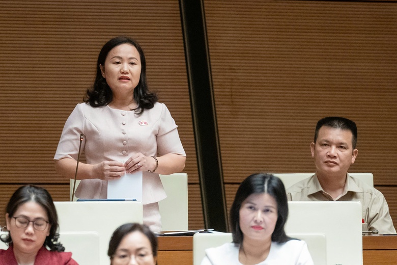 ĐBQH tranh luận việc th&agrave;nh lập quỹ bảo tồn di sản văn ho&aacute;- Ảnh 3.