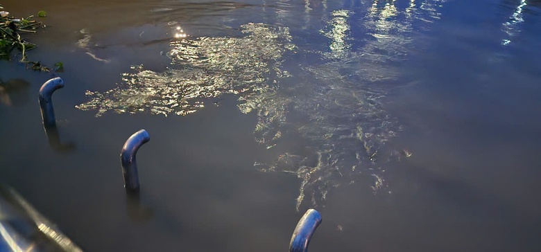 Cần Thơ: C&oacute; "l&aacute; chắn" ngh&igrave;n tỷ, bến Ninh Kiều vẫn ch&igrave;m trong nước- Ảnh 9.