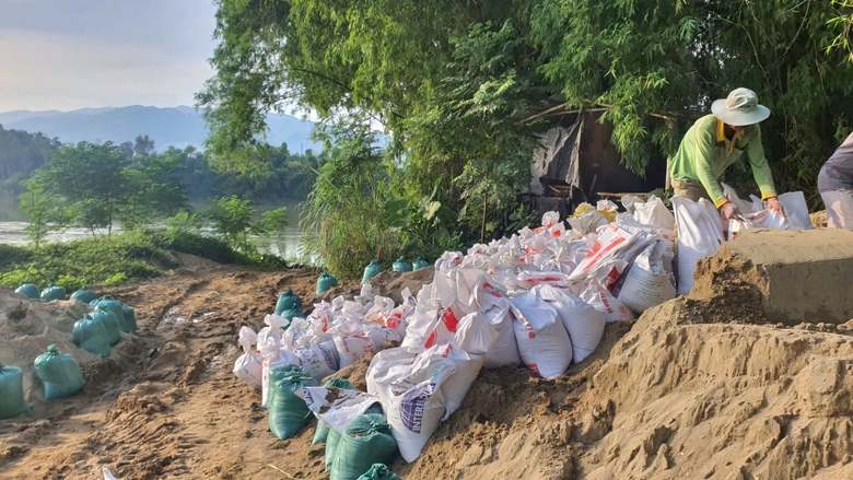 Quảng Nam: K&egrave; bờ s&ocirc;ng ngăn sạt lở, ch&egrave;n m&aacute;i nh&agrave; chống b&atilde;o Trami- Ảnh 4.