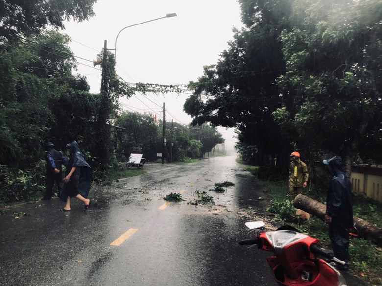 B&atilde;o Tr&agrave; Mi suy yếu th&agrave;nh &aacute;p thấp nhiệt đới- Ảnh 14.