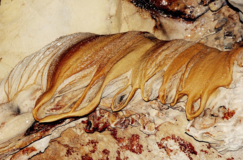 Dừng khai th&aacute;c kho&aacute;ng sản sau khi ph&aacute;t hiện hang động tại n&uacute;i Đụn- Ảnh 7.