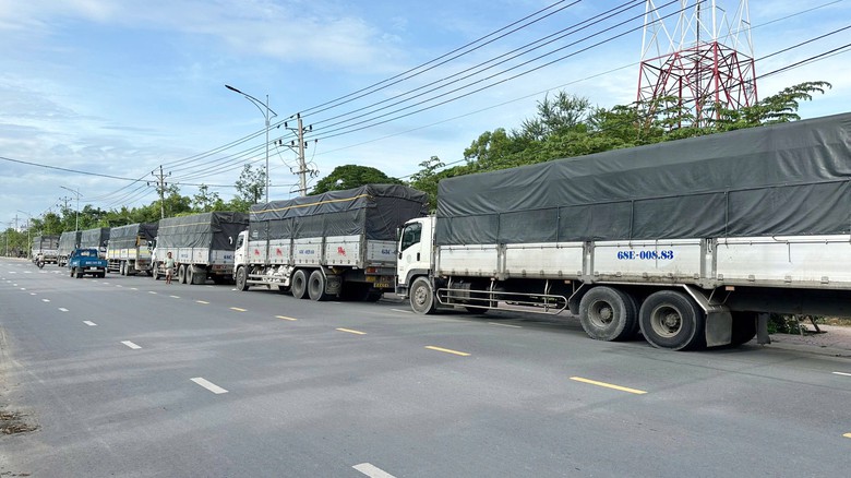 Đồng Th&aacute;p: Xử l&yacute; nhiều trường hợp vi phạm ATGT tr&ecirc;n QL30 v&agrave; 80- Ảnh 2.