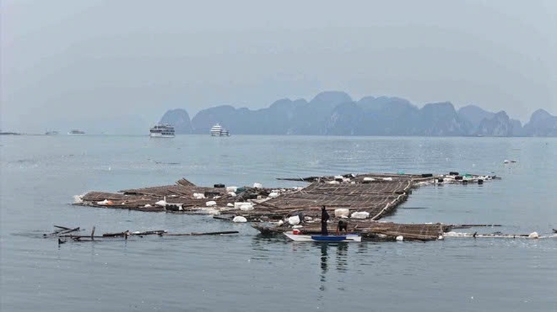Quảng Ninh ưu ti&ecirc;n kh&ocirc;i phục hạ tầng giao th&ocirc;ng bị hư hỏng sau mưa b&atilde;o- Ảnh 5.