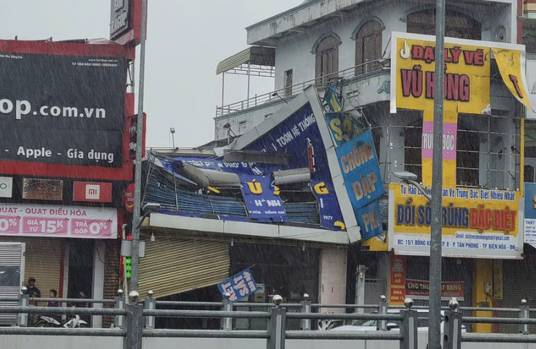 C&acirc;y xanh, biển quảng c&aacute;o ng&atilde; đổ sau mưa lớn ở Đồng Nai- Ảnh 2.