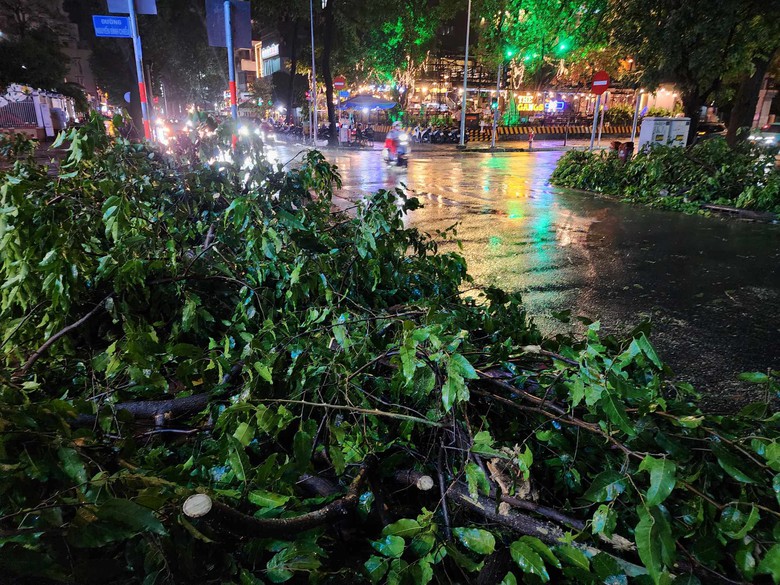 TP.HCM mưa lớn, c&acirc;y bật gốc đ&egrave; tr&uacute;ng người đi đường - Ảnh 1.