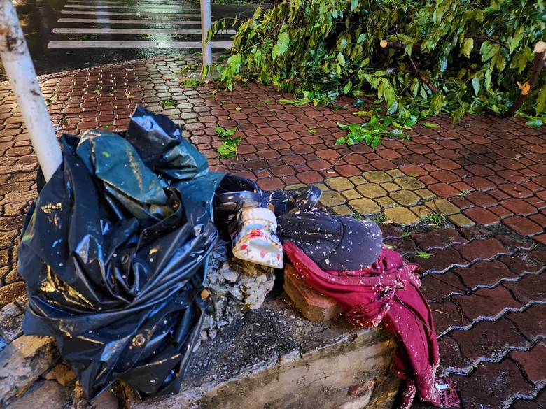 Sức khỏe các nạn nhân bị cây xanh bật gốc đè trúng hiện ra sao?- Ảnh 1. Sức khỏe các nạn nhân bị cây xanh bật gốc đè trúng hiện ra sao?- Ảnh 1.