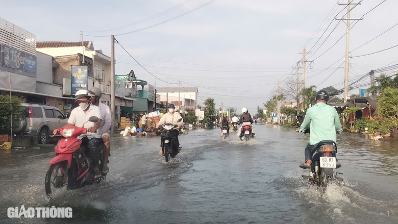 Quốc lộ 1 qua Bạc Liêu ngập sâu do triều cường dâng cao- Ảnh 1. Quốc lộ 1 qua Bạc Liêu ngập sâu do triều cường dâng cao- Ảnh 1.