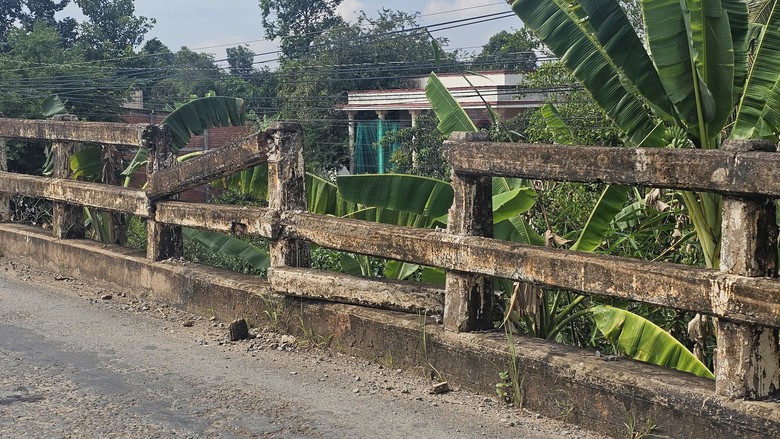 Nhiều cầu trên đường xuyên huyện biên giới Long An hư hỏng, nguy cơ mất an ATGT- Ảnh 2. Nhiều cầu trên đường xuyên huyện biên giới Long An hư hỏng, nguy cơ mất an ATGT- Ảnh 2.