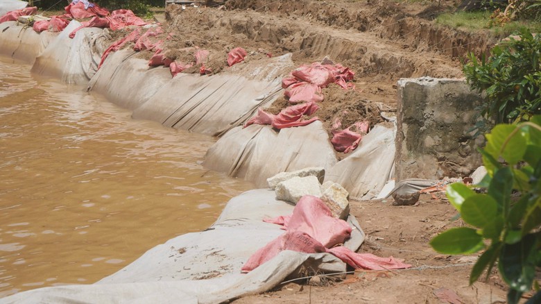 Người d&acirc;n bất an sau vụ sạt lở nghi&ecirc;m trọng ở Đồng Th&aacute;p- Ảnh 3.