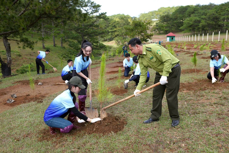 SASCO trồng cây xanh tặng xứ sở ngàn thông Đà Lạt- Ảnh 1. SASCO trồng cây xanh tặng xứ sở ngàn thông Đà Lạt- Ảnh 1.