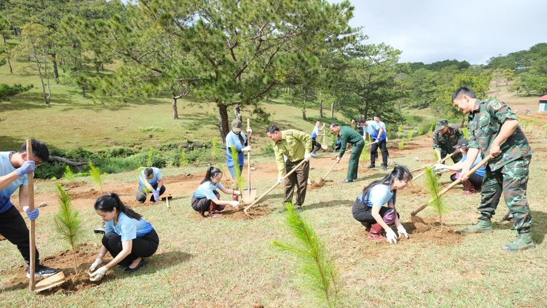 SASCO trồng cây xanh tặng xứ sở ngàn thông Đà Lạt- Ảnh 2. SASCO trồng cây xanh tặng xứ sở ngàn thông Đà Lạt- Ảnh 2.