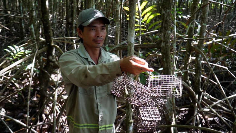 Độc đ&aacute;o nghề săn ch&ugrave; ụ của n&ocirc;ng d&acirc;n C&agrave; Mau- Ảnh 9.