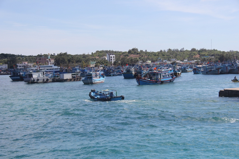 Ph&aacute;t hiện du kh&aacute;ch nước ngo&agrave;i tử vong tr&ecirc;n đảo Ph&uacute; Qu&yacute;- Ảnh 1.