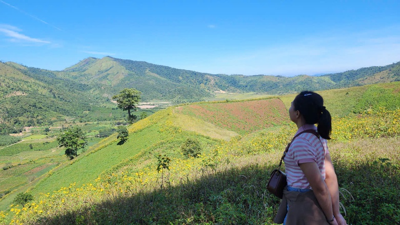 Hoa d&atilde; quỳ rực v&agrave;ng tr&ecirc;n cao nguy&ecirc;n Chư Đăng Ya- Ảnh 14.
