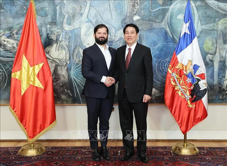 Chủ tịch nước Lương Cường hội đ&agrave;m với Tổng thống Chile- Ảnh 1.