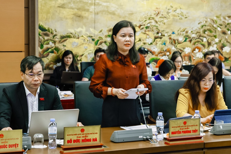 Đại biểu Quốc hội lo ngại "sốt" đất n&ocirc;ng nghiệp nếu th&iacute; điểm cho l&agrave;m nh&agrave; ở thương mại- Ảnh 1.