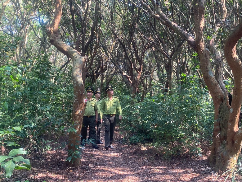 Quảng Ninh đánh thức tiềm năng vịnh Bái Tử Long- Ảnh 3. Quảng Ninh đánh thức tiềm năng vịnh Bái Tử Long- Ảnh 3.