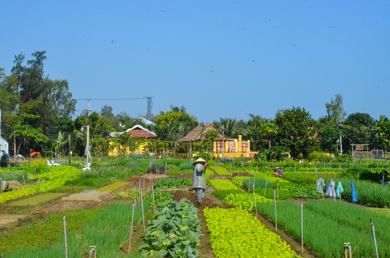 M&ecirc; mẩn vẻ đẹp L&agrave;ng du lịch tốt nhất thế giới năm 2024 ở Quảng Nam- Ảnh 8.