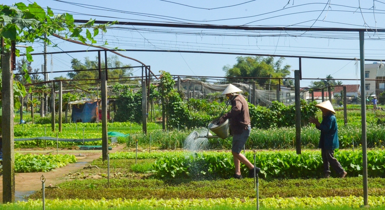 M&ecirc; mẩn vẻ đẹp L&agrave;ng du lịch tốt nhất thế giới năm 2024 ở Quảng Nam- Ảnh 4.