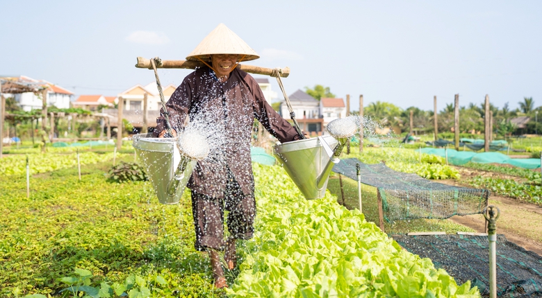 M&ecirc; mẩn vẻ đẹp L&agrave;ng du lịch tốt nhất thế giới năm 2024 ở Quảng Nam- Ảnh 6.