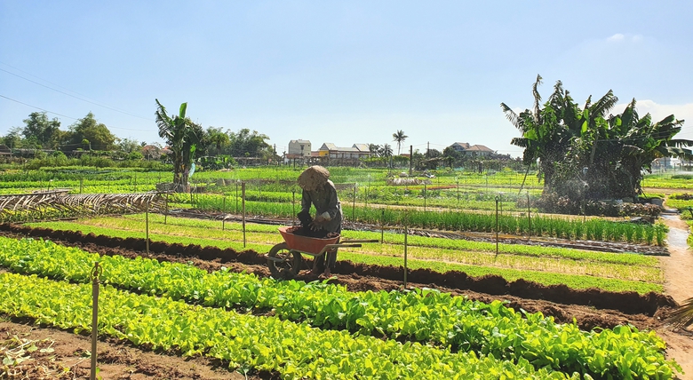 M&ecirc; mẩn vẻ đẹp L&agrave;ng du lịch tốt nhất thế giới năm 2024 ở Quảng Nam- Ảnh 9.