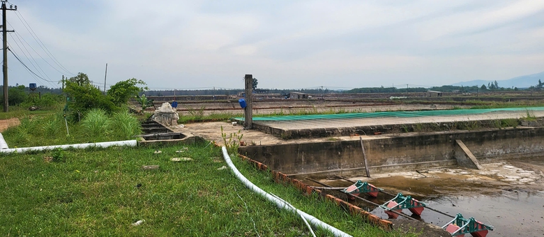 Quảng Ng&atilde;i: Đường ven biển chậm trễ v&igrave; dự &aacute;n nu&ocirc;i t&ocirc;m- Ảnh 2.