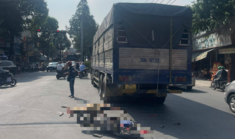 Đồng Nai: Va chạm với xe tải, người đi xe đạp điện tử vong- Ảnh 1.