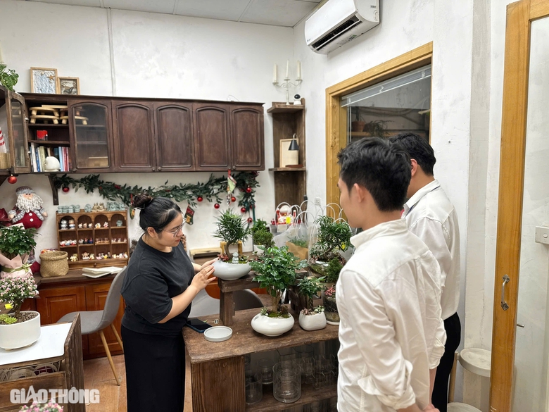 C&acirc;y phong thủy, bonsai h&uacute;t kh&aacute;ch mua dịp 20/11- Ảnh 5.