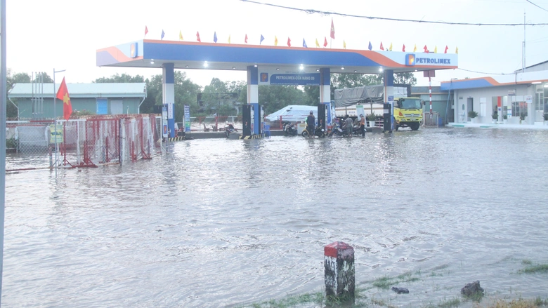 Triều cường l&ecirc;n cao, C&agrave; Mau khẩn trương ứng ph&oacute;- Ảnh 6.