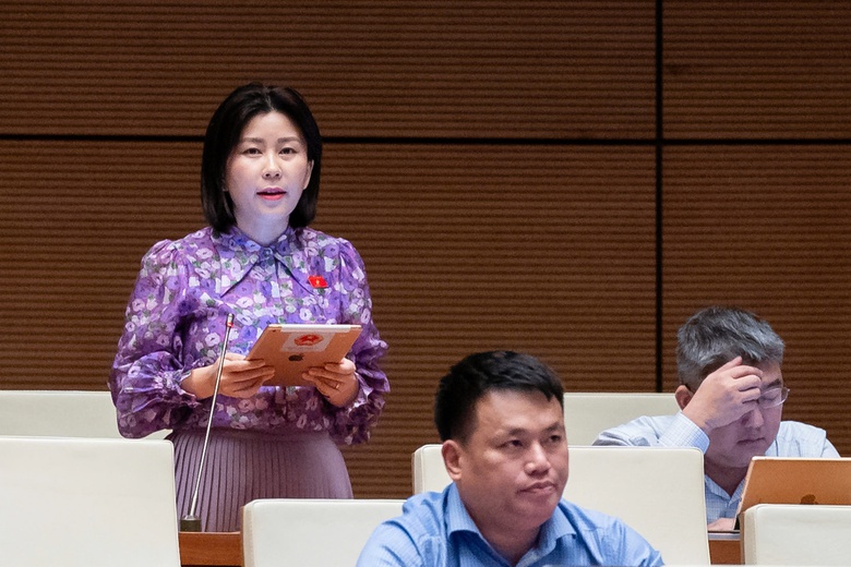 Khơi dậy tinh thần tự h&agrave;o d&acirc;n tộc để thực hiện dự &aacute;n đường sắt tốc độ cao- Ảnh 1.