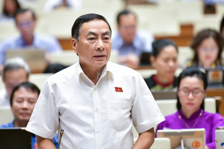 Đại biểu Quốc hội mong muốn đường sắt tốc độ cao c&oacute; từ mũi C&agrave; Mau đến địa đầu Tổ quốc- Ảnh 3.