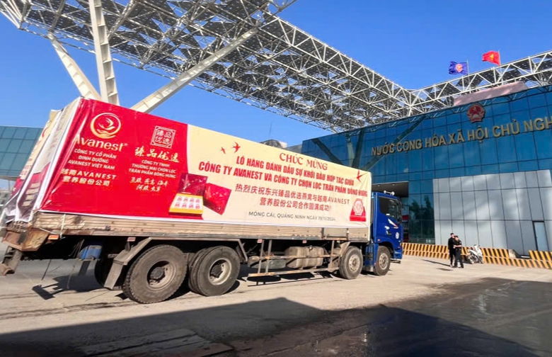 Quảng Ninh xuất khẩu l&ocirc; h&agrave;ng tổ yến đầu ti&ecirc;n sang Trung Quốc- Ảnh 1.