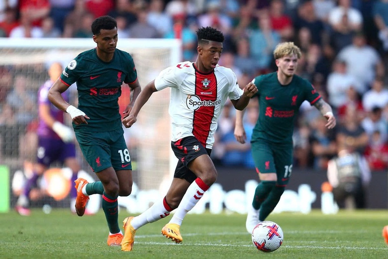 Nhận định, soi tỷ lệ Southampton vs Liverpool (21h ng&agrave;y 24/11), Ngoại hạng Anh 2024-2025- Ảnh 1.