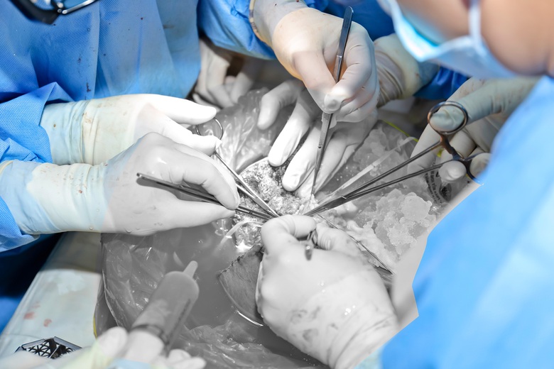 Ch&agrave;ng trai 18 tuổi chết n&atilde;o hiến tạng cứu sống 7 người- Ảnh 3.