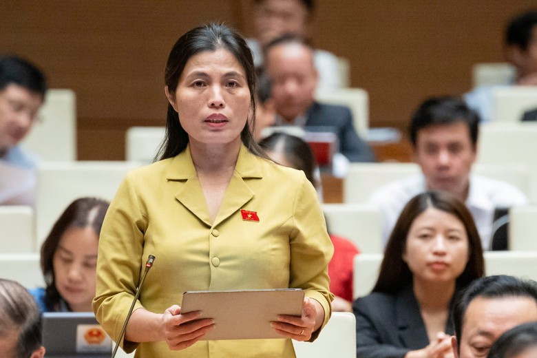 Đại biểu Quốc hội hiến kế tinh gọn bộ m&aacute;y, tr&aacute;nh kiểu c&agrave;o bằng- Ảnh 4.