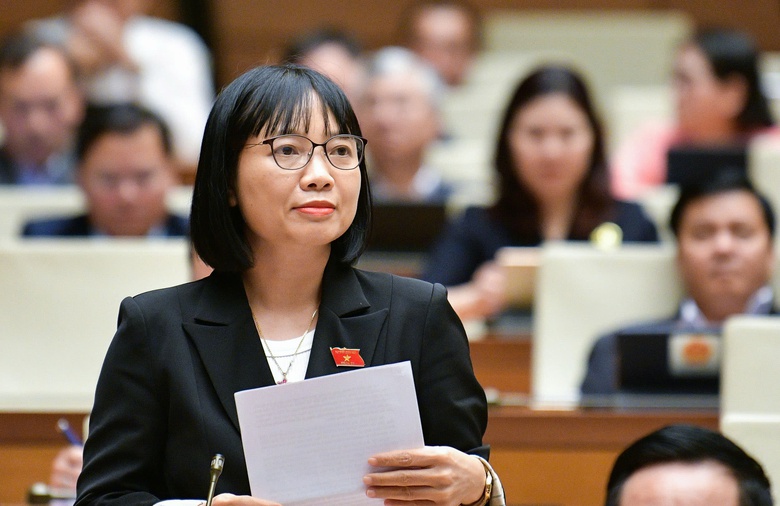 Đại biểu Quốc hội: Kh&ocirc;ng nước n&agrave;o đ&aacute;nh thuế ti&ecirc;u thụ đặc biệt với điều h&ograve;a- Ảnh 5.