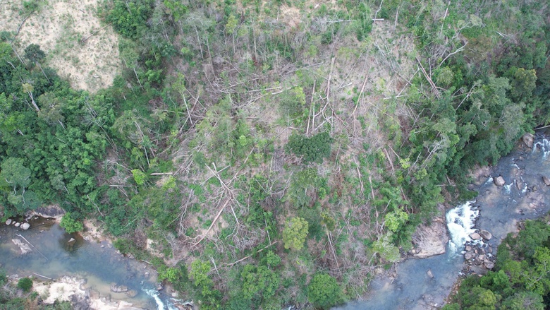 Gia Lai: Ph&aacute;t hiện vụ ph&aacute; rừng quy m&ocirc; lớn- Ảnh 1.