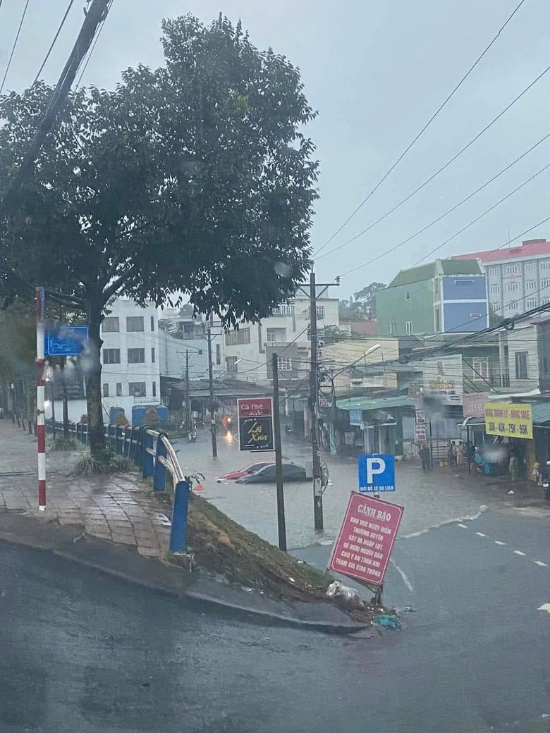 Mưa lớn k&egrave;m d&ocirc;ng lốc, nhiều tuyến đường L&acirc;m Đồng ngập nặng, c&acirc;y cối ng&atilde; đổ- Ảnh 7.